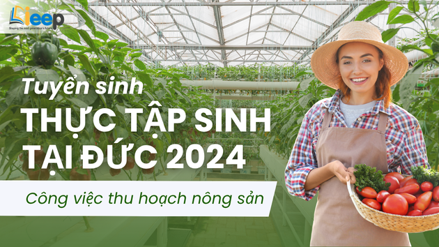thực tập nghề  (4).png